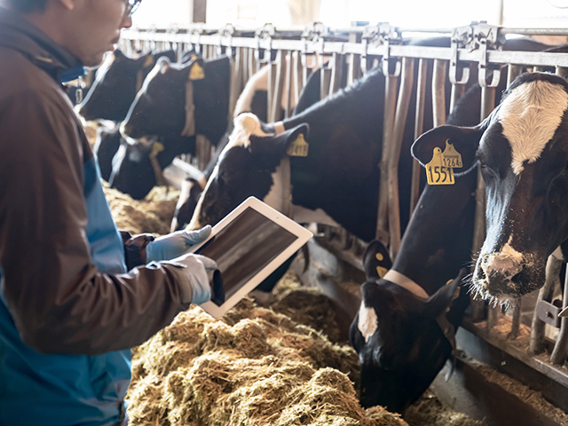 牛の行動パターンを把握することで疾病などの予見が可能となり、サインを逃さずいち早く治療を開始することができるようになる。