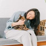 オペレーター（保険査定）