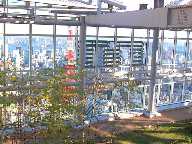 47階の展望スペースは１周でき、東京を一望できます。