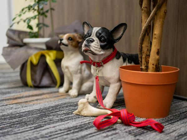 募集している求人：財務部_経理責任者候補10.20