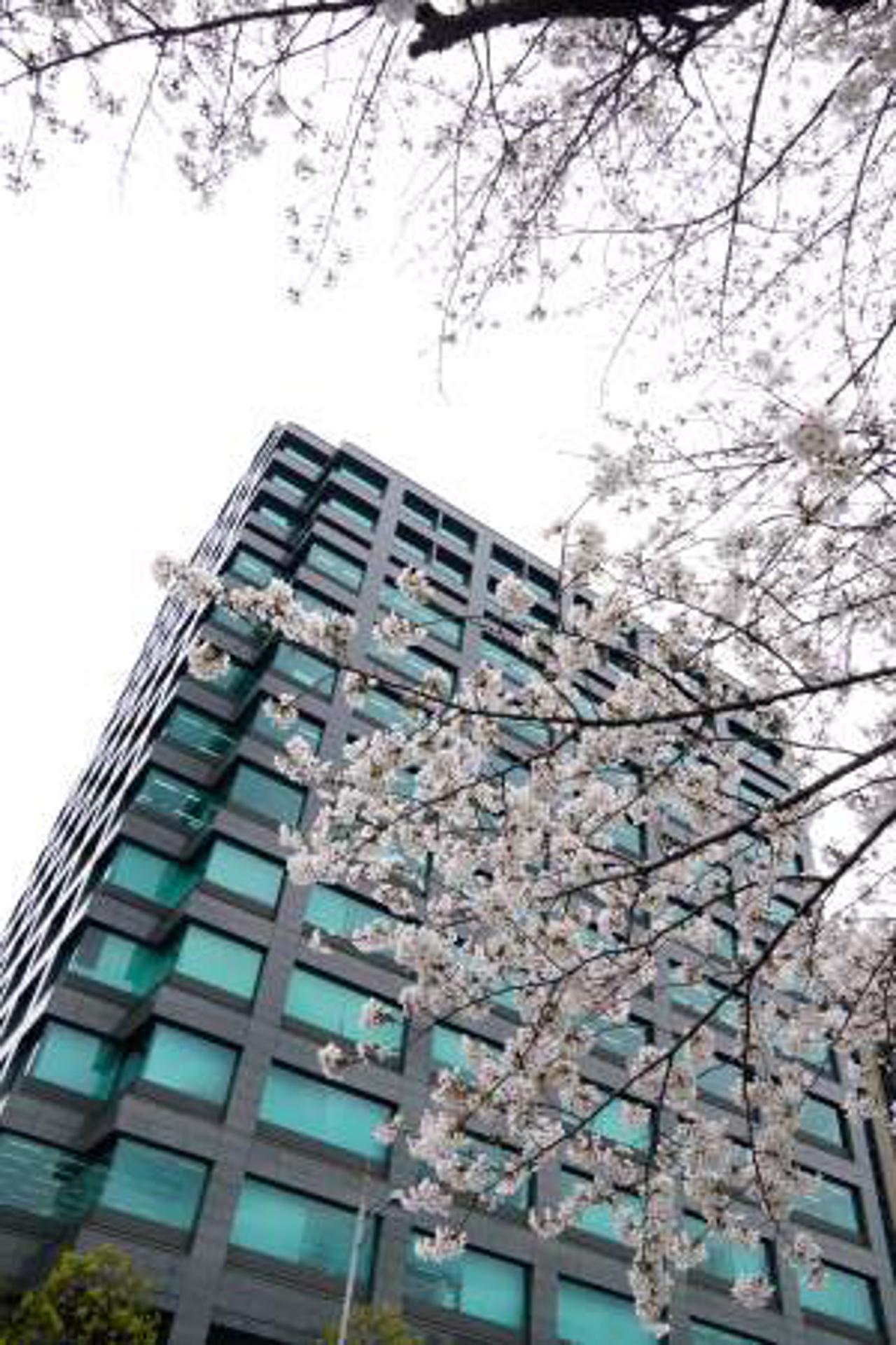 AZX Group株式会社 求人画像1