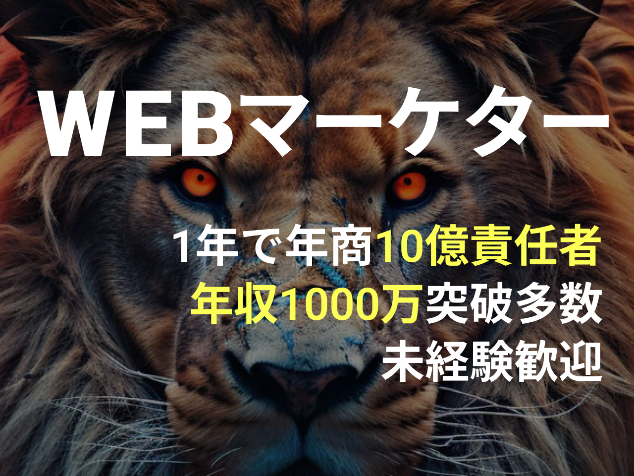 株式会社AimForward 求人画像1