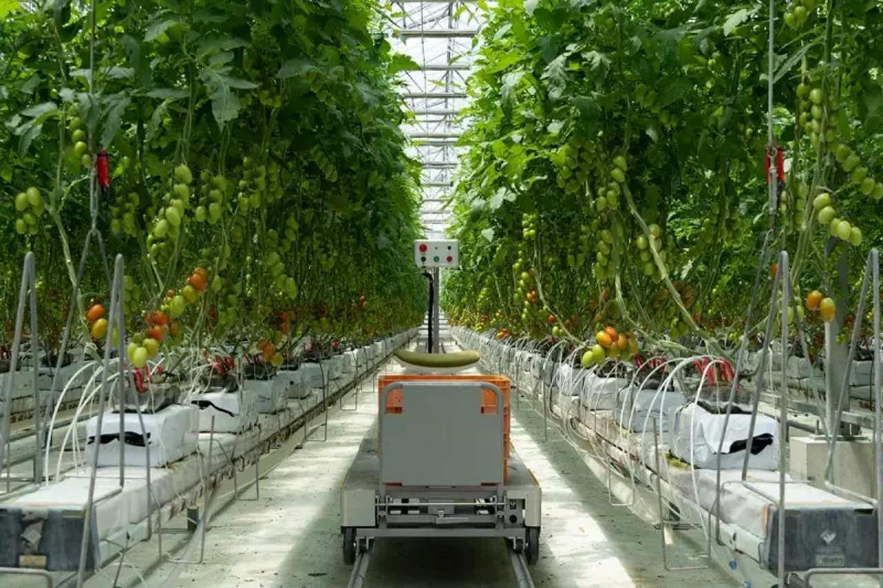 inaho株式会社 求人画像1