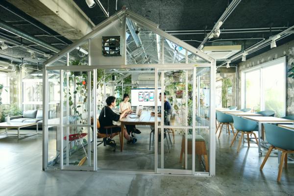 募集している求人：チケットディレクター