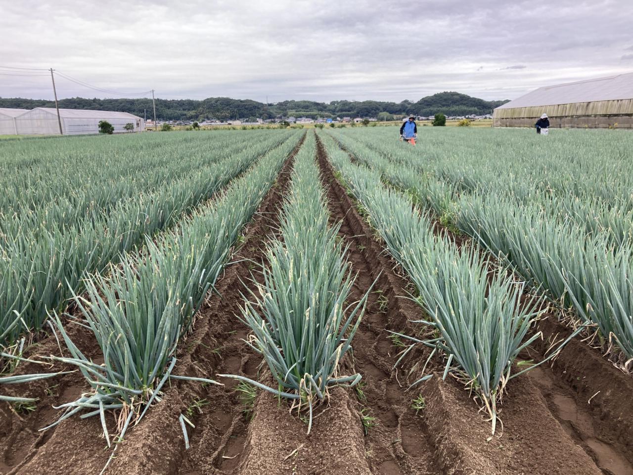 YUIME株式会社 求人画像1