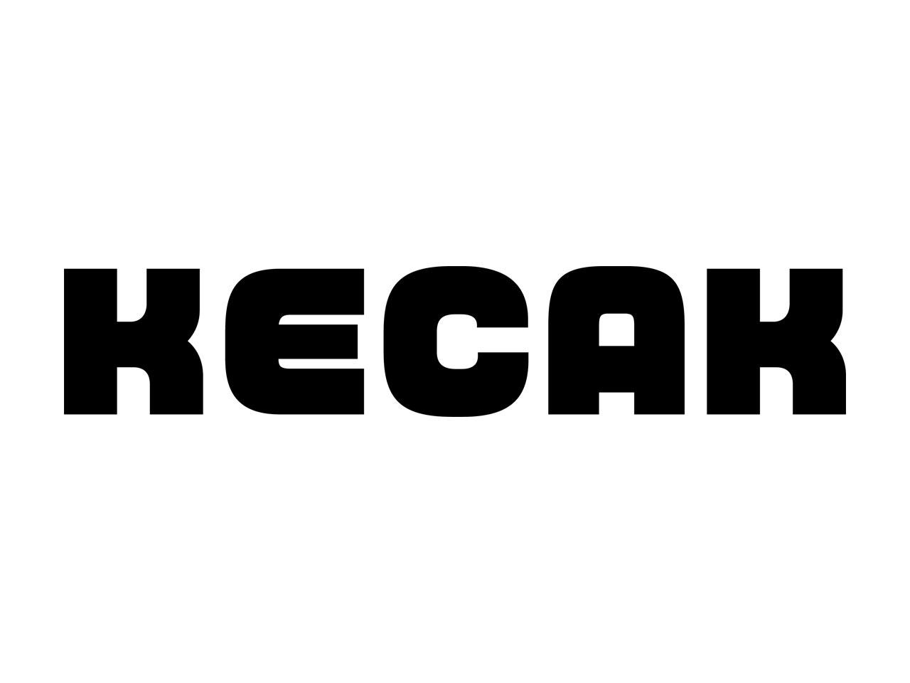 株式会社KECAK 求人画像1