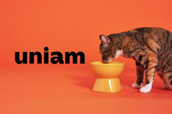 募集している求人：Webマーケター