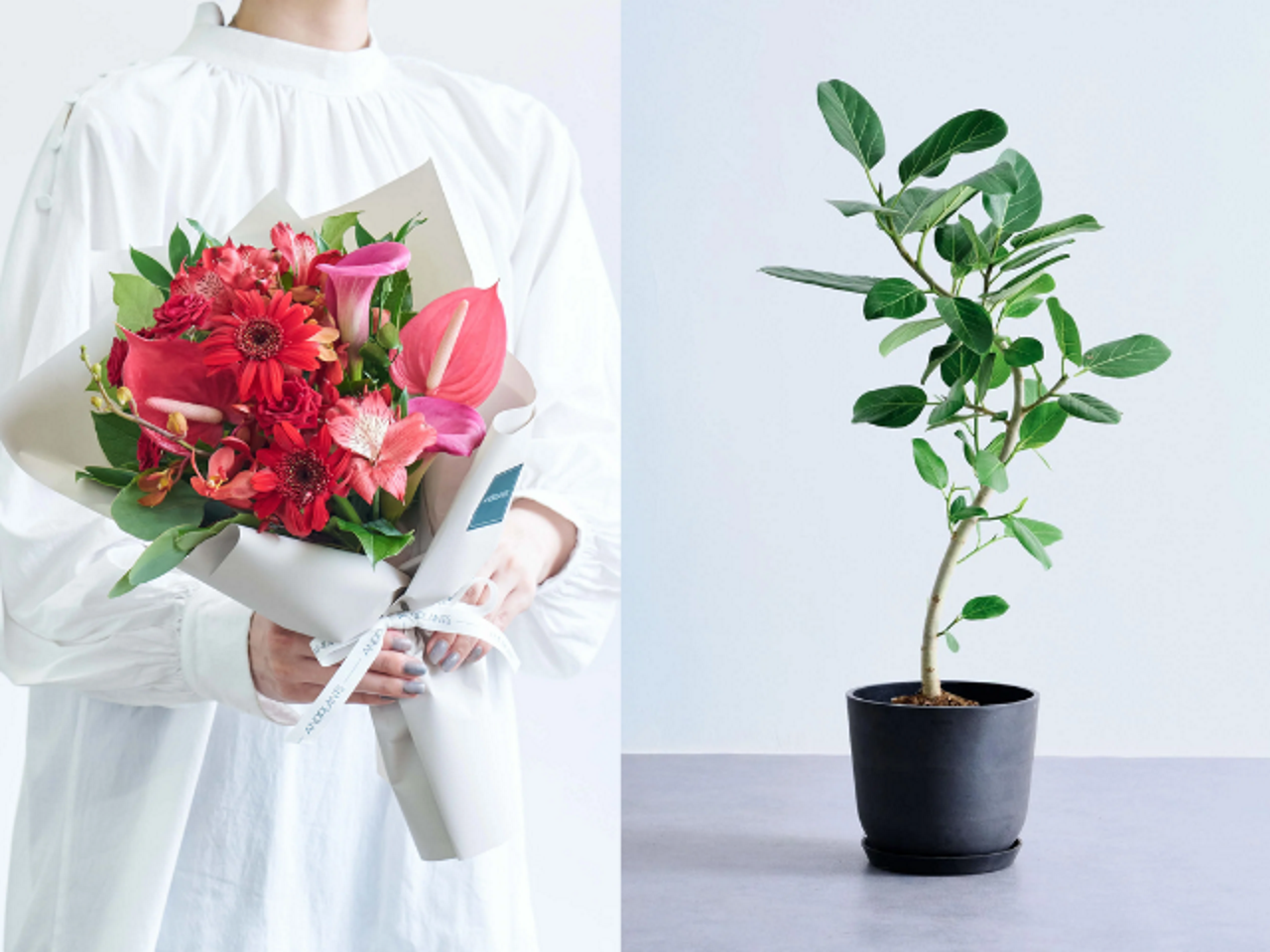 株式会社Domuz 求人画像1