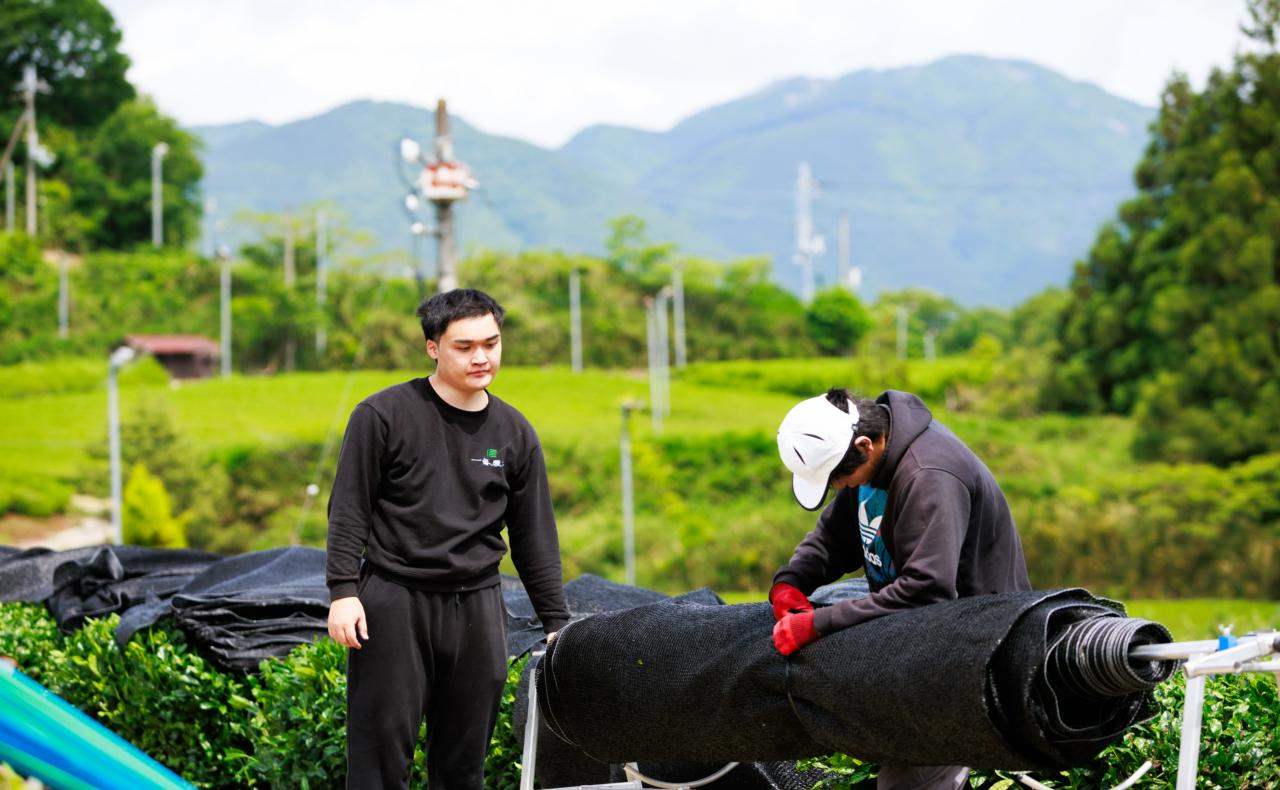 一番農業株式会社 求人画像1