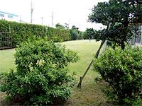 社内にはミニゴルフ場も。