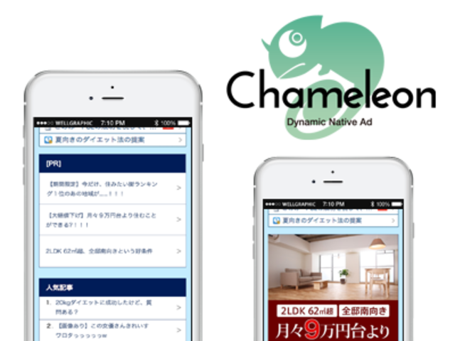 同社が手がけるのは、現在市場規模が急成長中のオンライン動画広告と、欧米ではすでに主流となっているリッチメディア広告、そしてメディアのデザインに溶け込み自然に読者に浸透させるネイティブ広告の3つだ。
