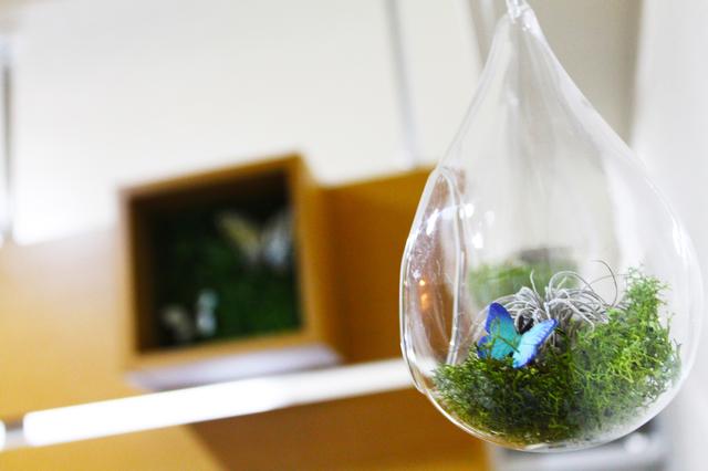 社内ではグリーンや小物で、明るい雰囲気が保たれている。