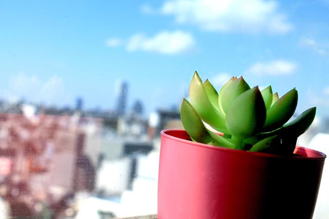 幅広い案件に携われるのでスキルアップが可能だ。