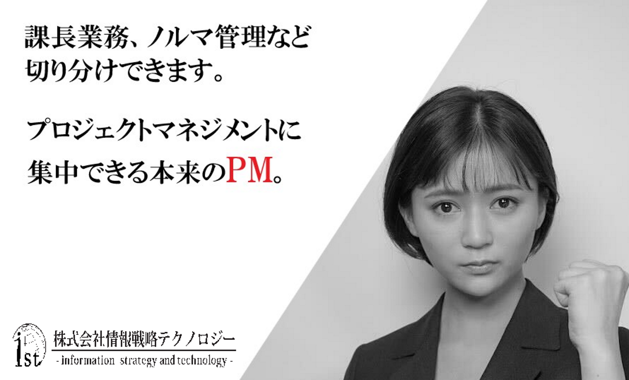 株式会社情報戦略テクノロジー 求人画像1