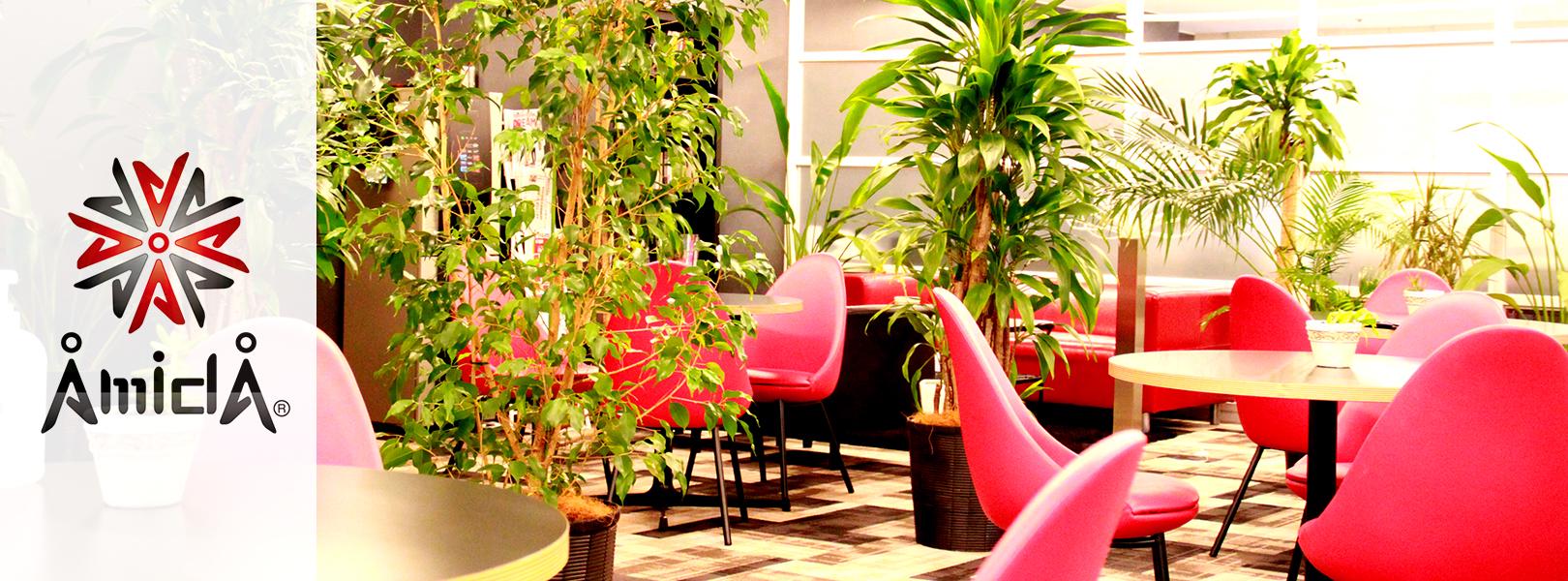 企業トップ画像