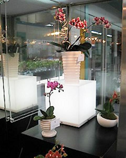 株式会社 大田花きの中途採用 求人 転職サイトgreen グリーン