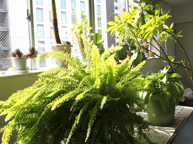 個人事業主や専門職人のような感覚で技術力をとことん極めていきたいと考える者や、とにかく現場が好きだ、第一線で長く活躍していきたい。そのように考える者には、とてもやりがいを感じられる場だ。