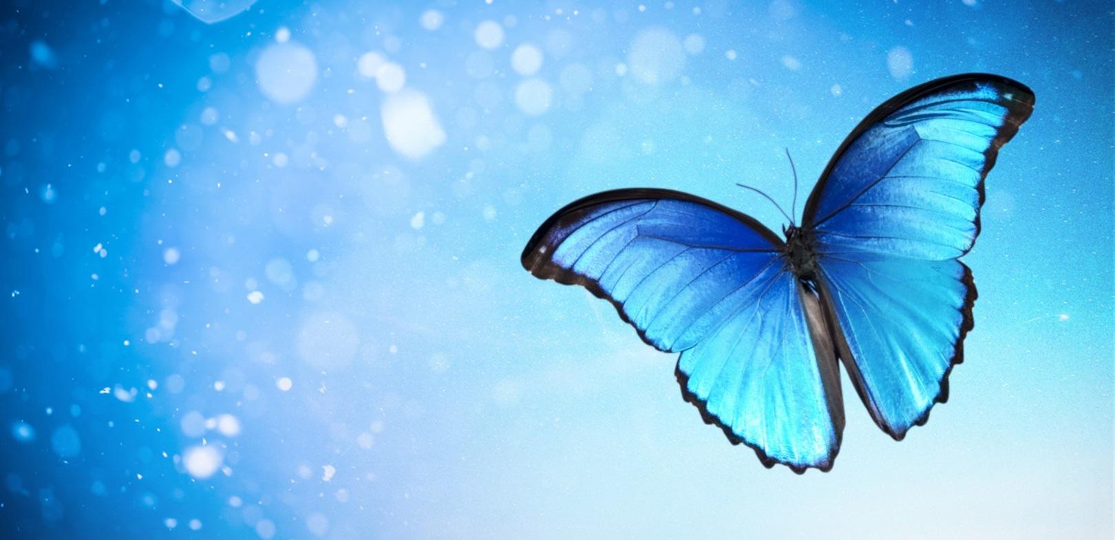 企業トップ画像