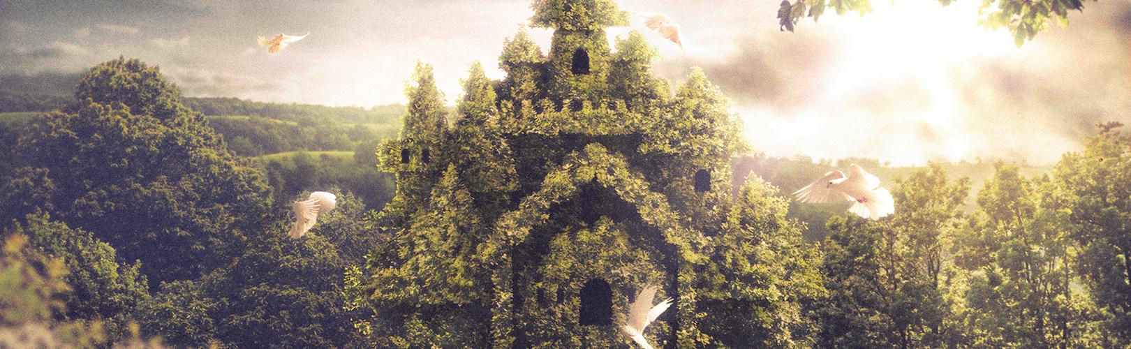 企業トップ画像