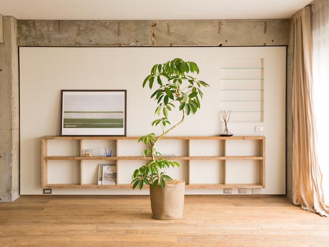 「Technologyを通じて、シンプルでワクワクする社会づくりに貢献する」を理念に掲げ、花卉業界のリーディングカンパニーとして確固たる地位を築いていく。