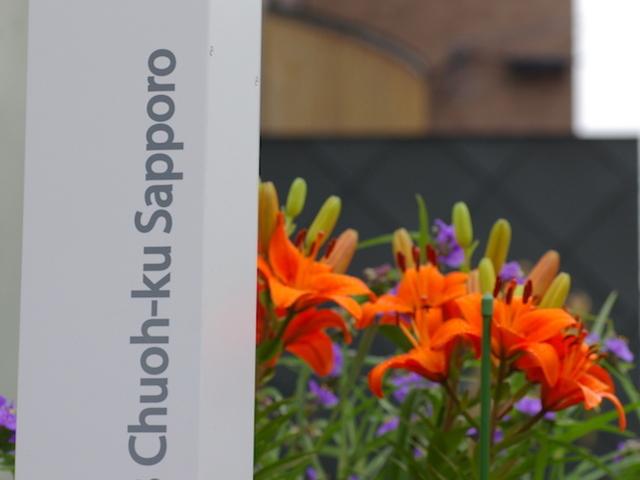 企業風土としては、固定概念にとらわれることなく、新しいことにも進んで挑戦していく風土。"意外性"を大事にした会社運営を行っている。