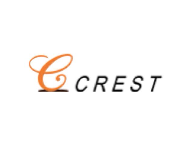 大阪市に拠点を置くシステム開発会社である同社。2003年に設立。