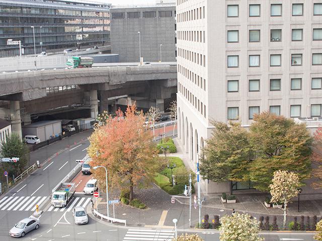 オフィスから見える景色。まだまだスタート時点に立ったばかりの当社を一緒に大きくしていく仲間を探している。