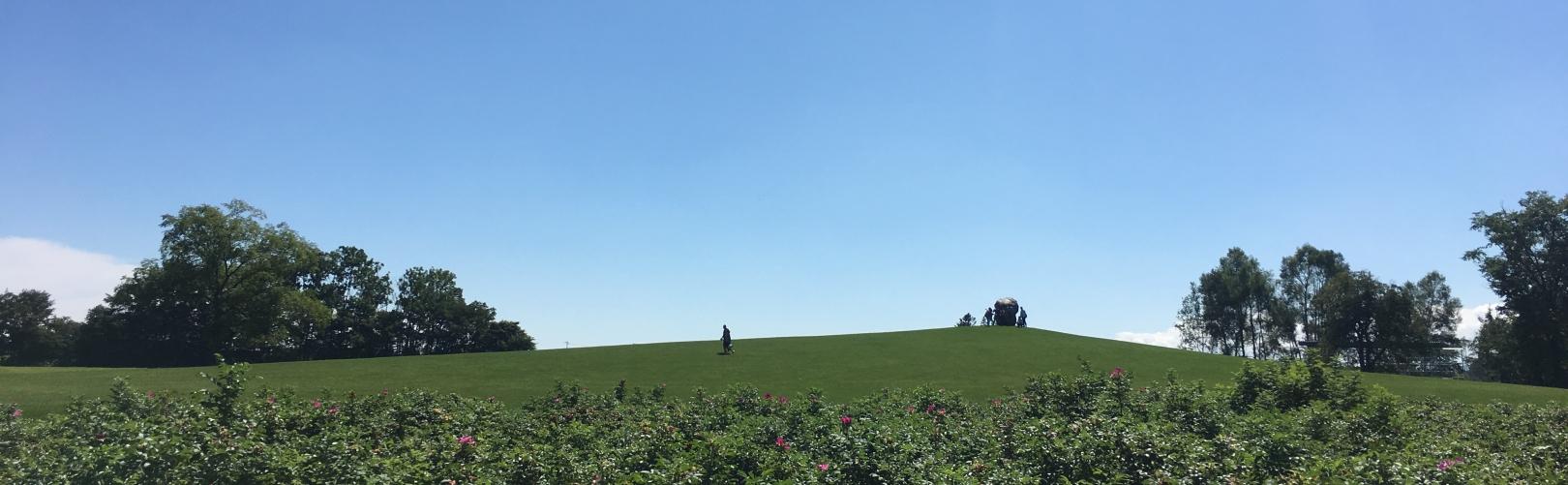 企業トップ画像