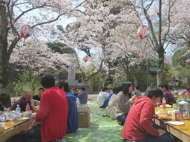 お花見など親睦会主催のイベントは社員主体で企画します