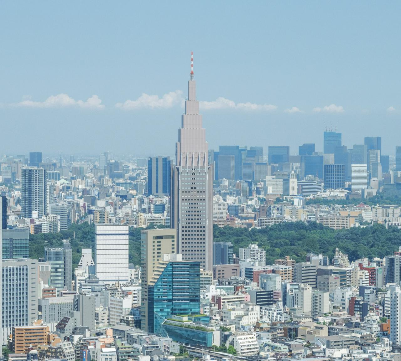 株式会社デジタルハーツホールディングス 求人画像1