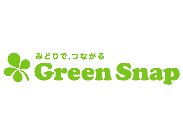 同社が運営する話題の植物SNS『GreenSnap』
植物に関するプラットフォームになりつつある。