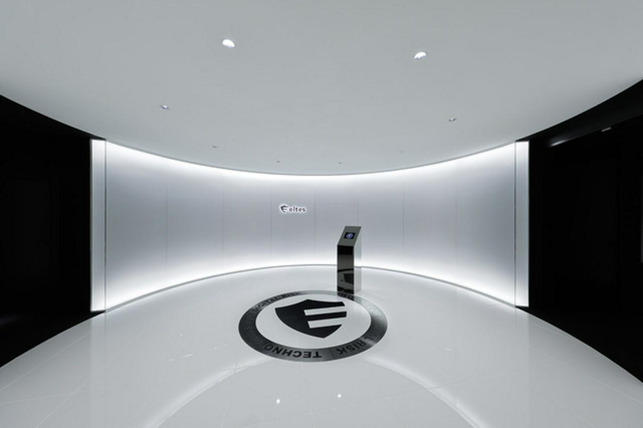 株式会社エルテス 求人画像1