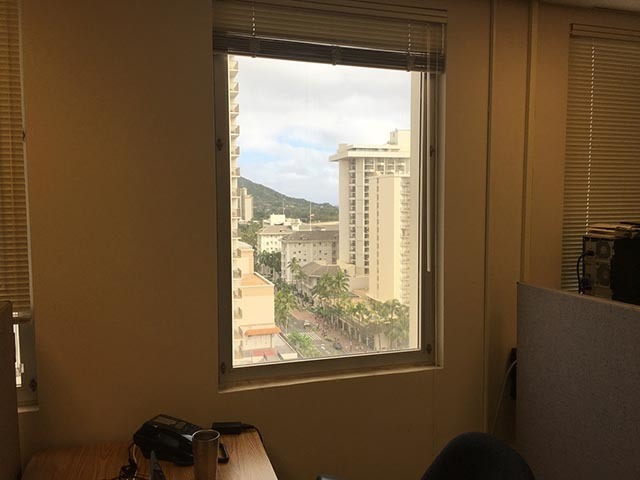 窓からは雄大なハワイの自然も。伸び伸びと働ける環境だ。