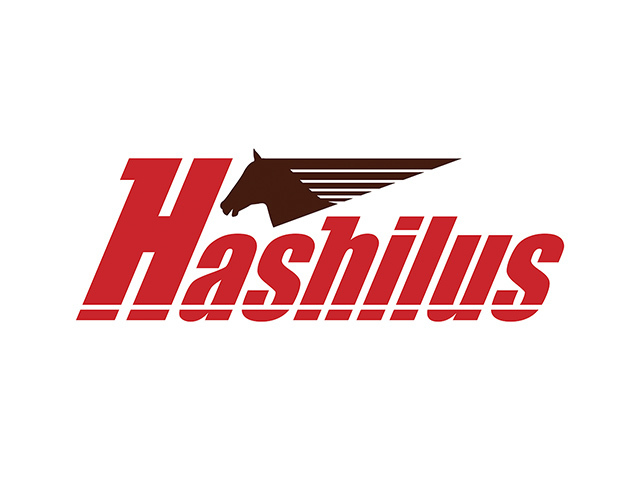 株式会社ハシラスは、2015年12月設立で、本社を東京・有楽町に、開発スタジオ「ハシラスフォート」を東京・田端新町に置く。
