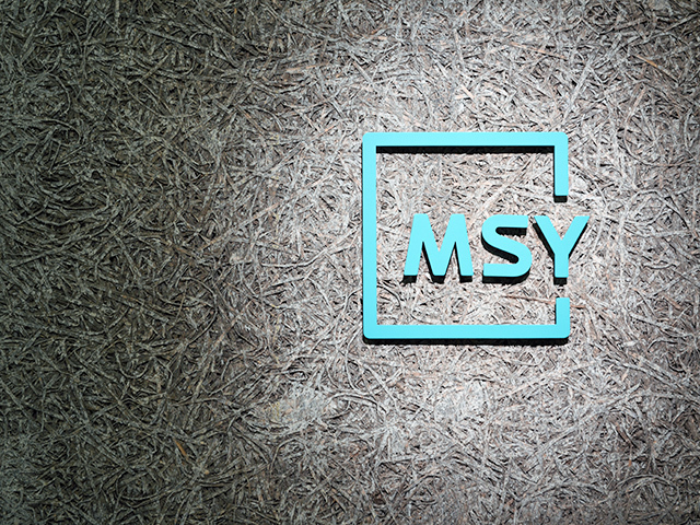 MSY株式会社は、1978年6月設立で東京都杉並区下高井戸に本社、東京都渋谷区幡ヶ谷に営業拠点、埼玉県三郷市にロジスティクスセンターとカスタマーサポートセンター、アメリカ・カリフォルニア州に現地法人を置く