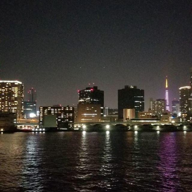 全社員で東京湾クルージング！頑張るのも息抜きも上手なメンバーが揃っています。