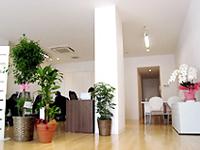 天井が高く、BGMの流れる空間