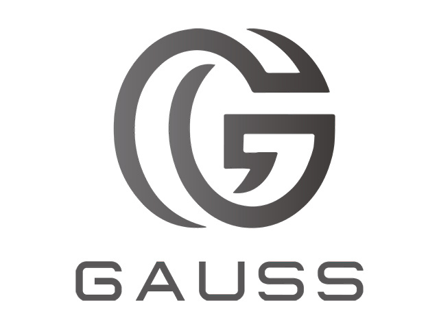 株式会社GAUSSは、2017年5月設立で、東京都新宿区に本社オフィスを置く。