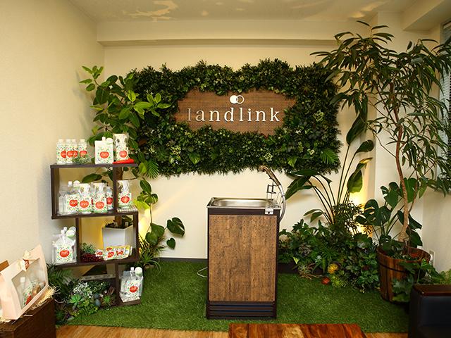 現在は11人と少数精鋭の体制で運営をしており、ストレスフリーで働きやすい環境。