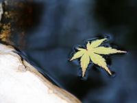 しっとりした和風空間を演出する癒しの温泉