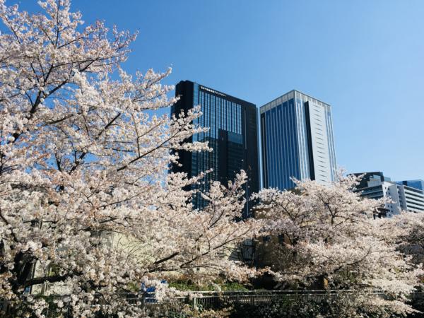 募集している求人：SaaSの導入および運用支援のディレクター