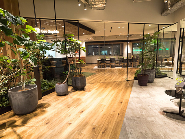 観葉植物と木目によりナチュラルなカフェのようなオフィス空間を実現。社員の働きやすさにこだわっているのがわかる。