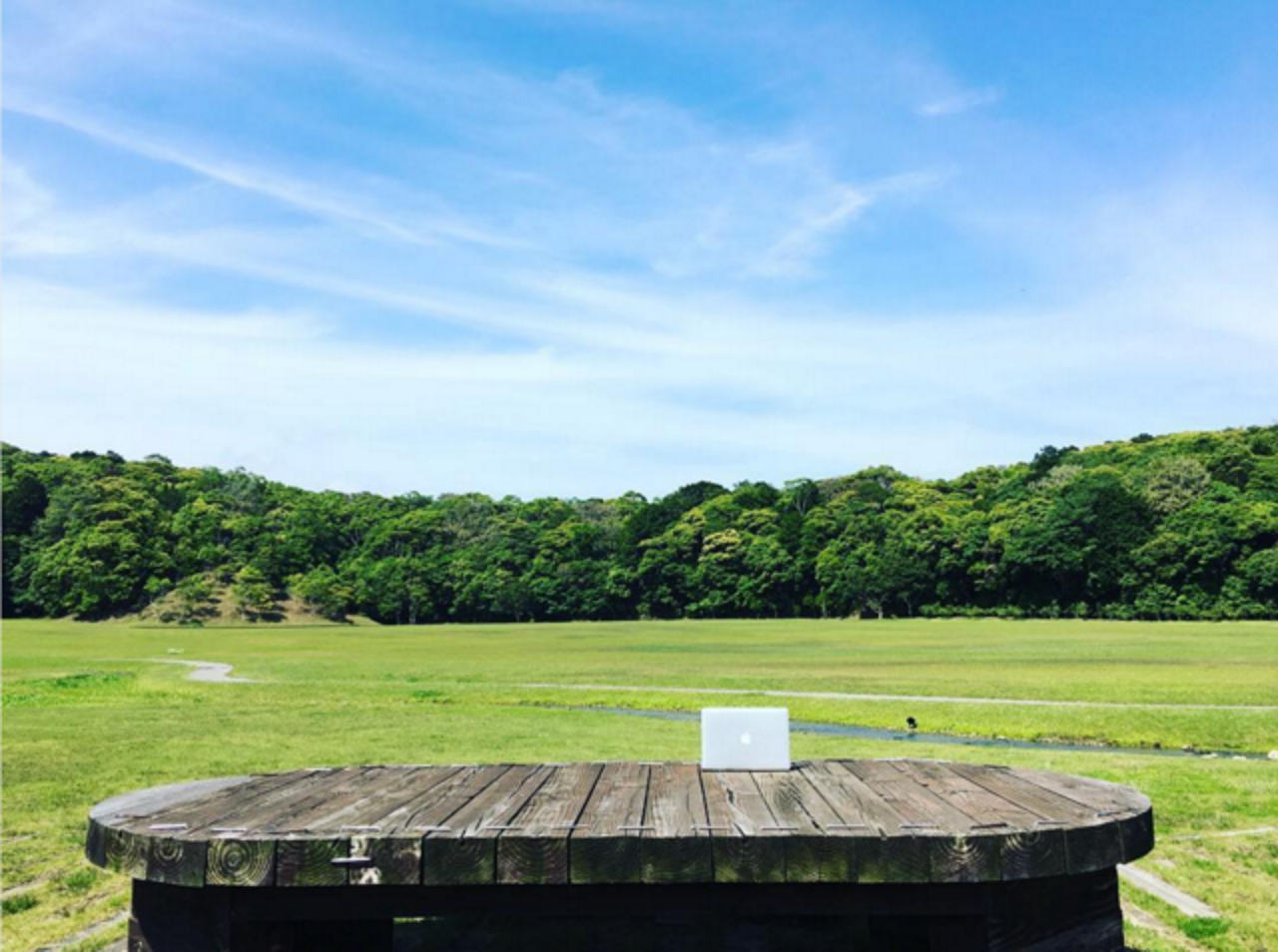 株式会社ねこじゃらし 求人画像1