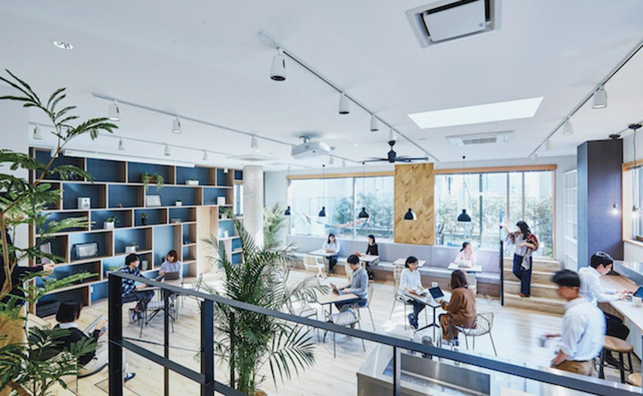 株式会社ねこじゃらし 求人画像1