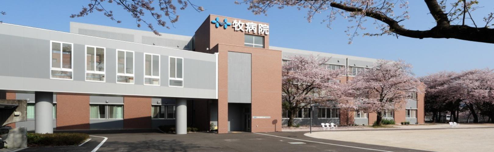 企業トップ画像