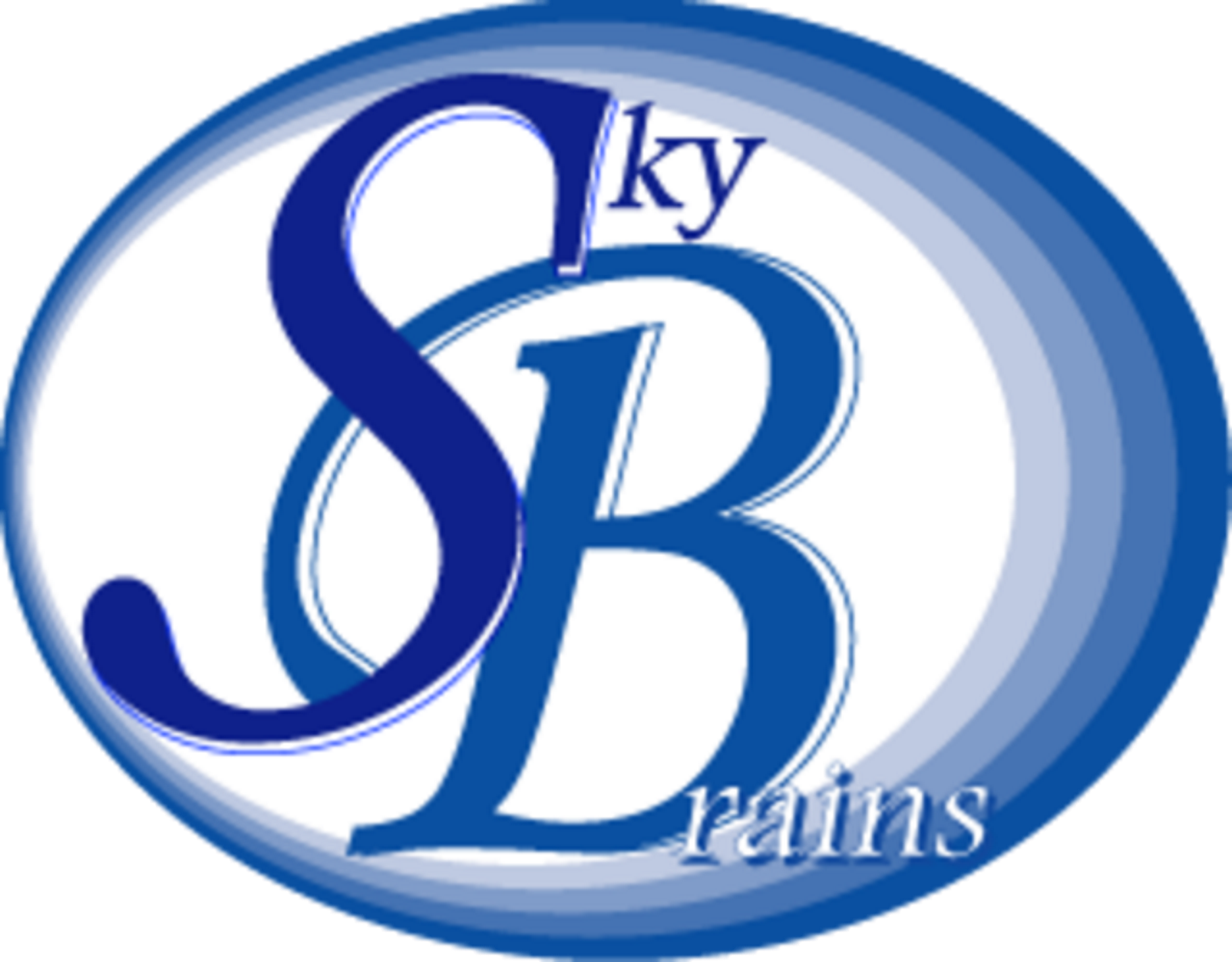 株式会社スカイ・ブレインズ 求人画像1