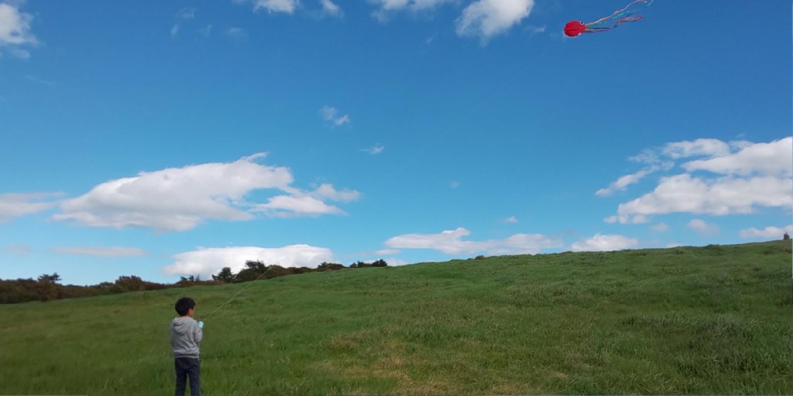 企業トップ画像