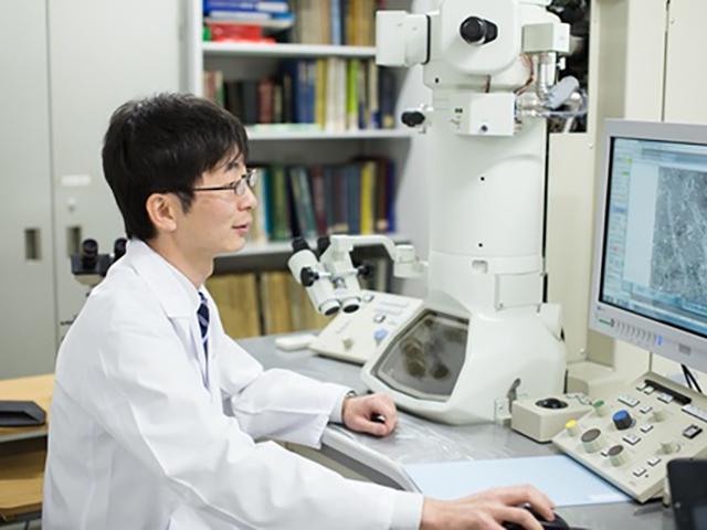 現在は、水生生物を用いた環境毒性評価や再生医療など、新しい領域に積極的に取り組んでいるが、今後は新たな動物種を用いた試験やバイオマーカー検査など、事業領域のさらなる拡充を進めていく。