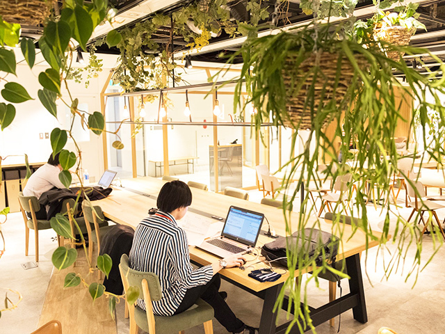 緑が溢れるオフィスはとても快適な環境です。働きやすさを考慮された設計となっています。