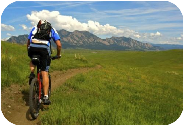 日頃の体調管理に。身体も頭もすっきり

生産性を下げる疲労感、眠気、だるさ、頭痛などを避けるために体調を可視化。
上記の体調不良を引き起こす身体バランスの崩れをリアルタイムに可視化。